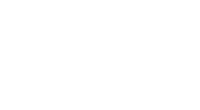 s8 logo