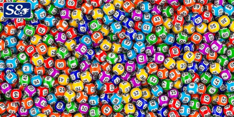 Dùng lô rơi hiệu quả đến 90%