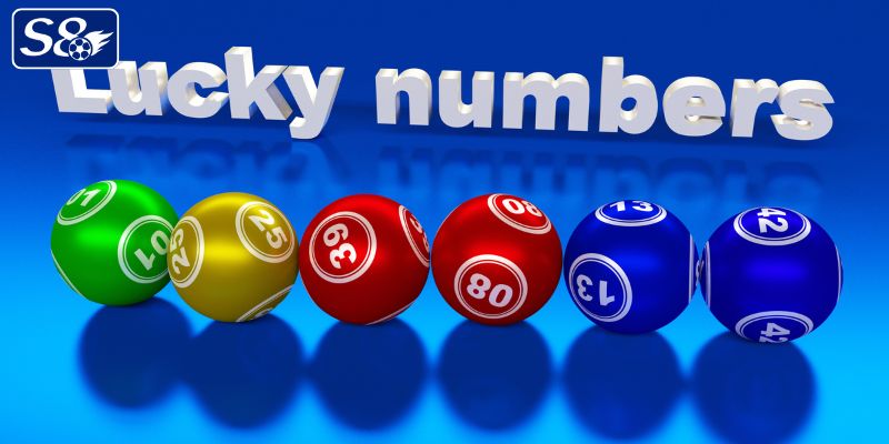 Giới thiệu về lô bạch thủ