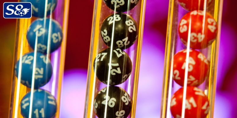 Mẹo nuôi lô khung 2 ngày chuẩn nhất