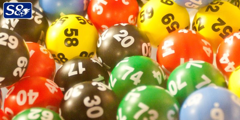 Nuôi lô 5 ngày hiệu quả cao