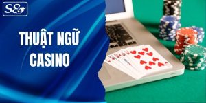 thuật ngữ casino